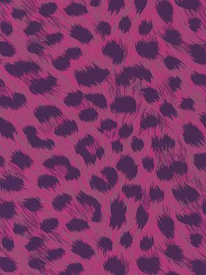 Brewster Wallcovering Kitty Purry Pink Leopard Print Pink