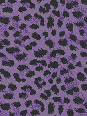 Brewster Wallcovering Kitty Purry Purple Leopard Print Purple