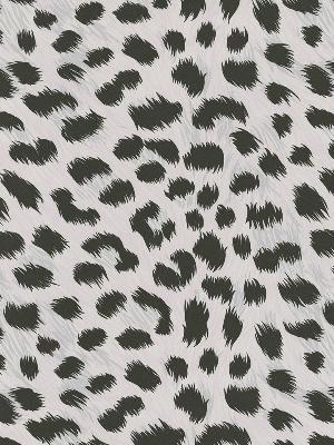 Brewster Wallcovering Kitty Purry White Leopard Print White
