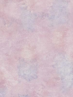 Brewster Wallcovering Ruffle Pink Sponge Paint Effect 