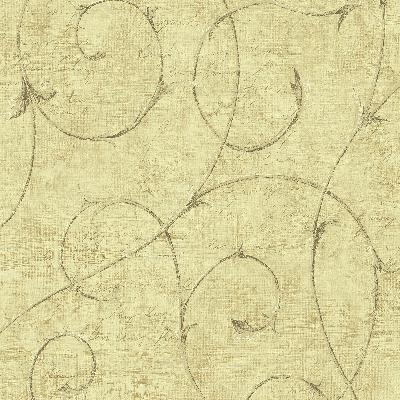 Fairwinds Studio 292 80903 