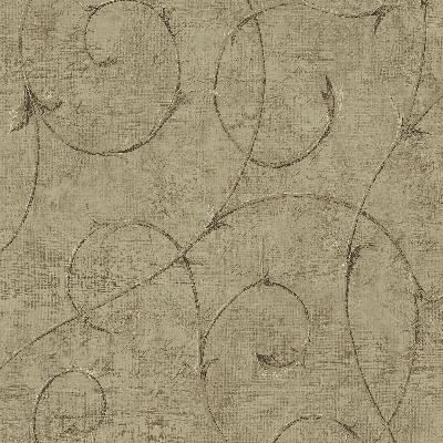 Fairwinds Studio 292 80906 