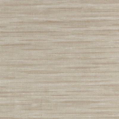 Genon Horizon Line Falling Star