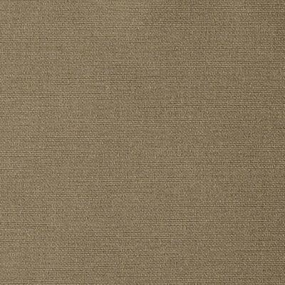 LenTex Soraya Chinchilla