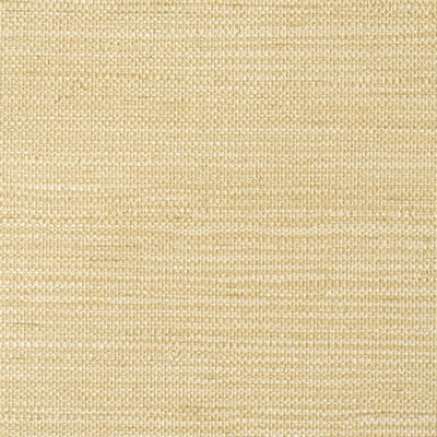 LenTex Lennon Grass Acorus Grass