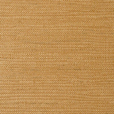 LenTex Lennon Grass Sedge