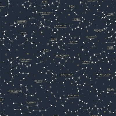 Ralph Lauren Wallpaper Starry Sky Midnight Blue