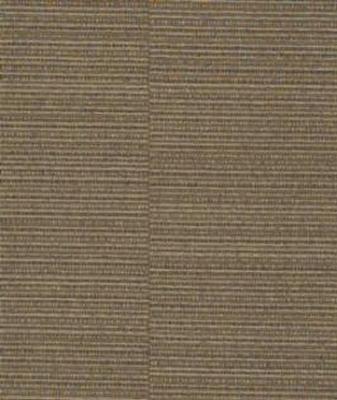 Versa Wall St Currency