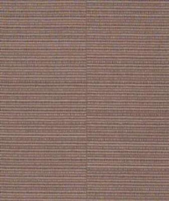 Versa Wall St Bull Market