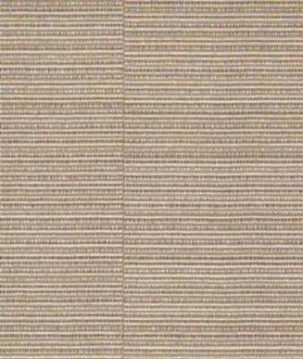 Versa Wall St Futures