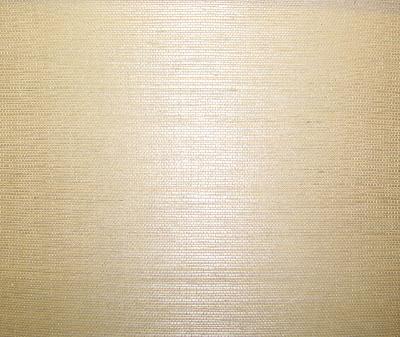 Washington Wallcoverings AS1021 