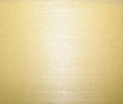 Washington Wallcoverings AS1024 