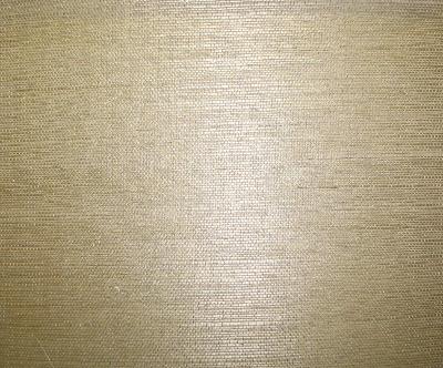 Washington Wallcoverings AS1033 