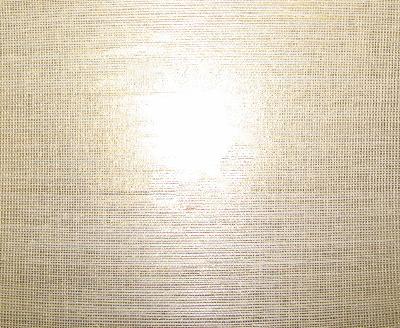 Washington Wallcoverings AS1041 