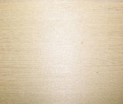 Washington Wallcoverings AS1043 