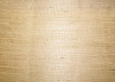 Washington Wallcoverings AS125 