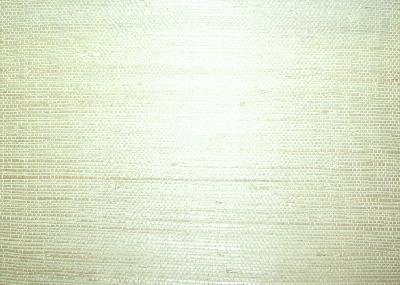 Washington Wallcoverings AS126 