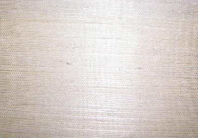 Washington Wallcoverings AS127 