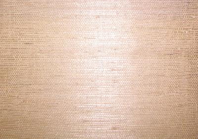 Washington Wallcoverings AS128 