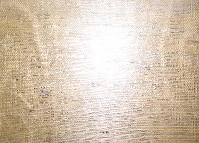 Washington Wallcoverings AS134 