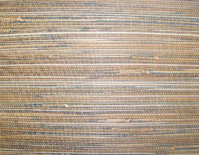 Washington Wallcoverings AS536 