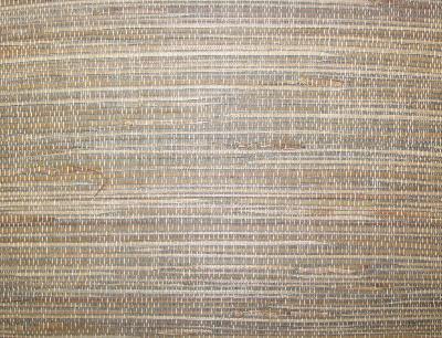 Washington Wallcoverings AS539 