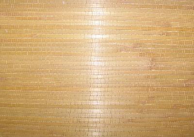 Washington Wallcoverings AS569 