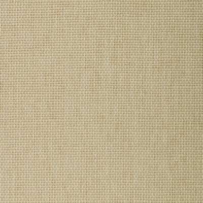 Washington Wallcoverings Paperweave 