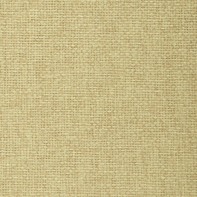 Washington Wallcoverings Paperweave  