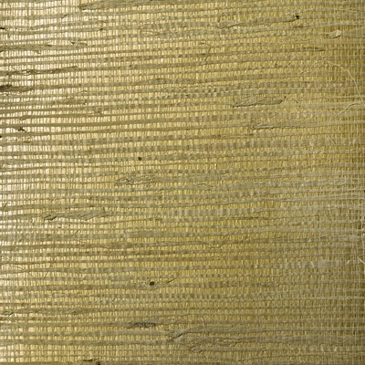 Washington Wallcoverings Arrowroot on Metallic  