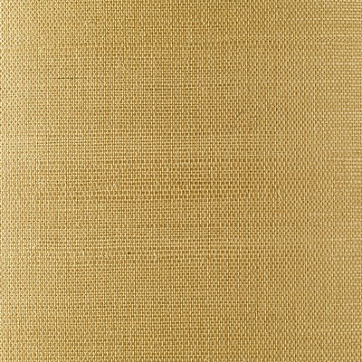 Washington Wallcoverings Sisal 
