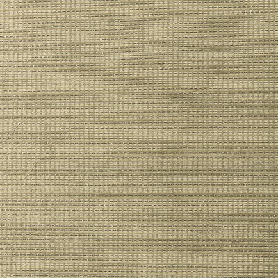 Washington Wallcoverings Sisal with Metallic 