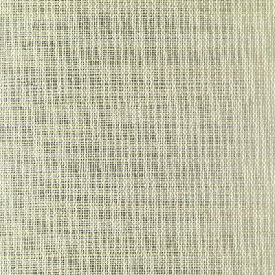 Washington Wallcoverings Sisal on Metallic  