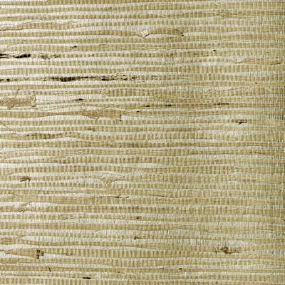 Washington Wallcoverings Arrowroot on Metallic  