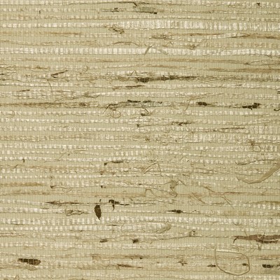 Washington Wallcoverings  Arrowroot  
