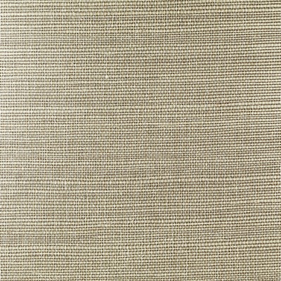 Washington Wallcoverings Sisal 
