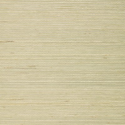 Washington Wallcoverings Sisal with pearl coated paper 