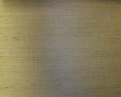 Washington Wallcoverings D30111 