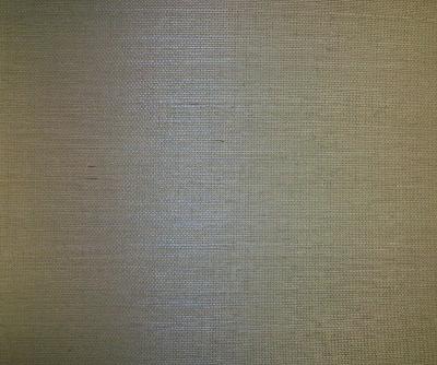 Washington Wallcoverings D41018 