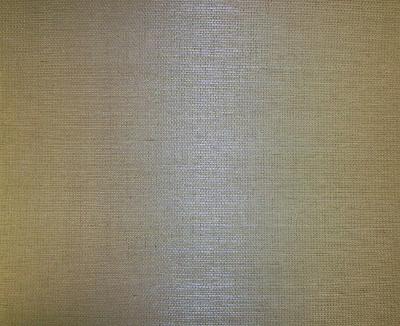 Washington Wallcoverings D41021 