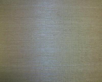 Washington Wallcoverings D41026 