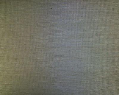 Washington Wallcoverings D41029 