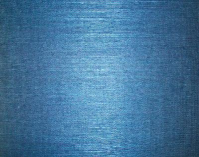 Washington Wallcoverings D41047 