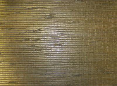 Washington Wallcoverings D50691 