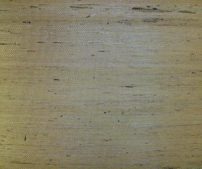 Washington Wallcoverings D90058 