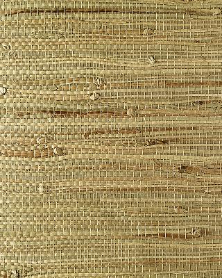 Washington Wallcoverings EW3112 