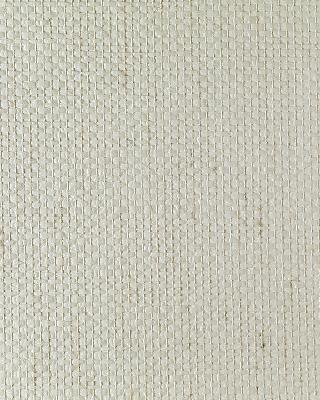 Washington Wallcoverings EW3125 