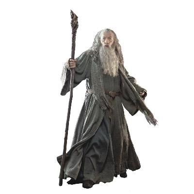 York Wallcovering The Hobbit - Gandalf Giant Peel & Stick Wall Decals Multi