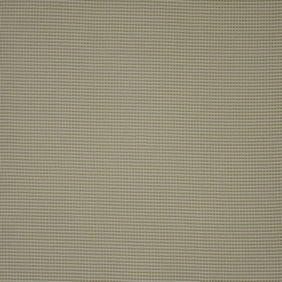 Maxwell Fabrics ANCHOR WATCH                   507 POPCORN            