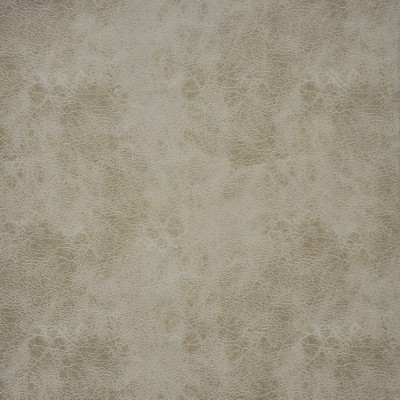 Maxwell Fabrics ATACAMA                        174 RATTAN             